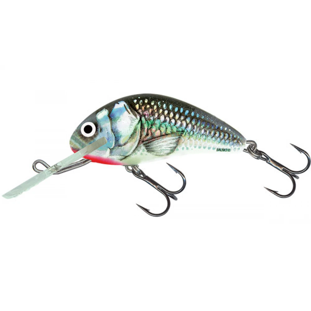 Salmo Hornet - Sinking - 5cm - Holographic Grey Shiner