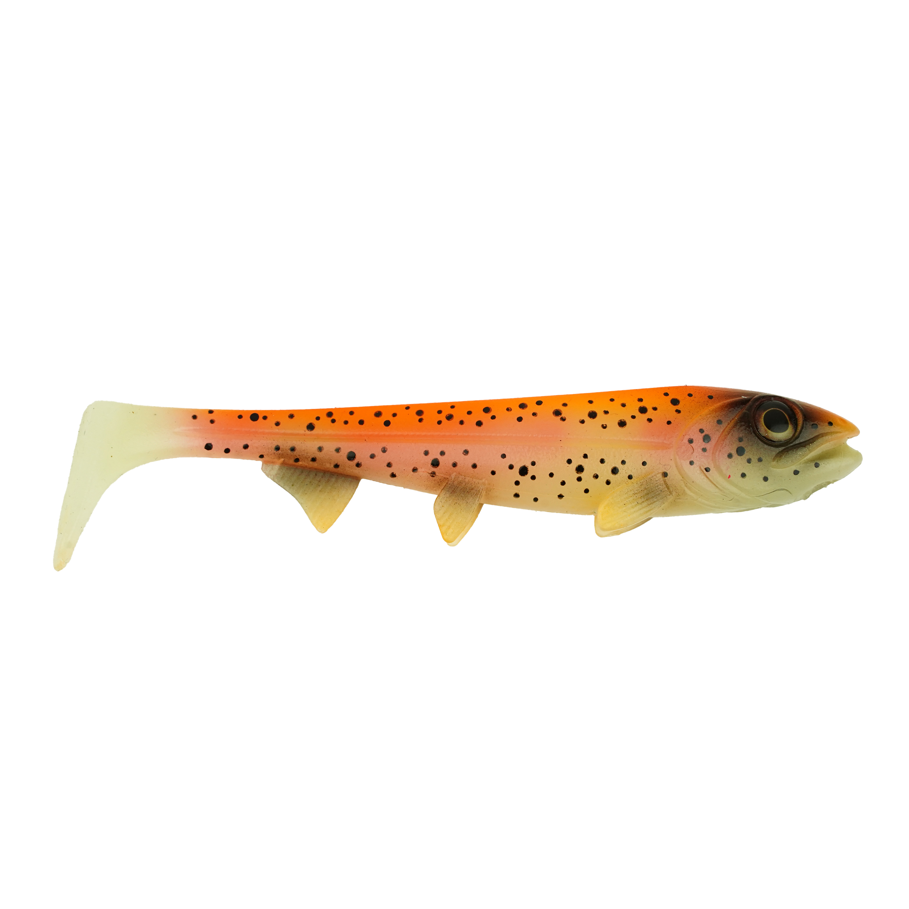 Hostagevalley Shad - Golden Trout - 22cm