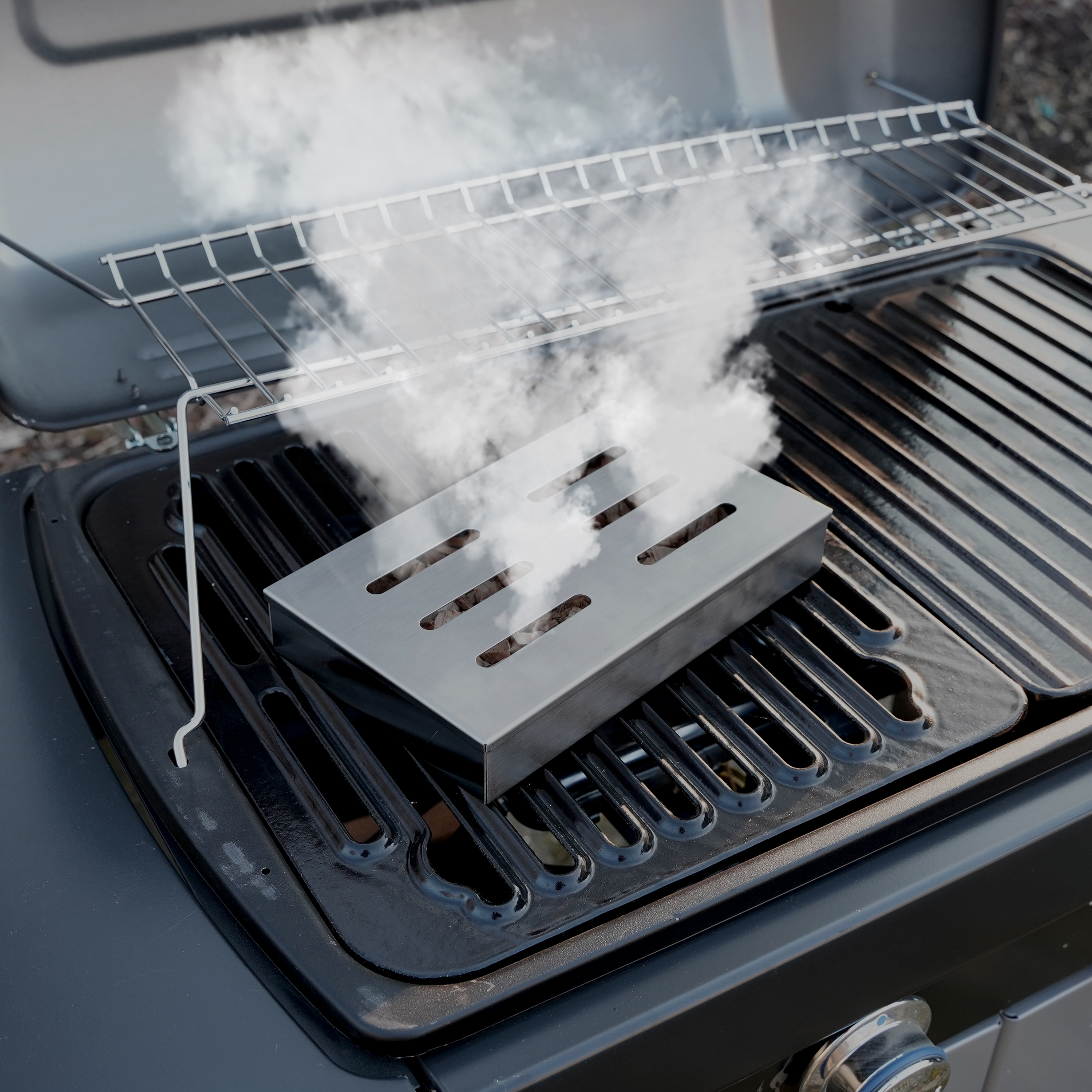 Eurocatch Rookbox RVS 