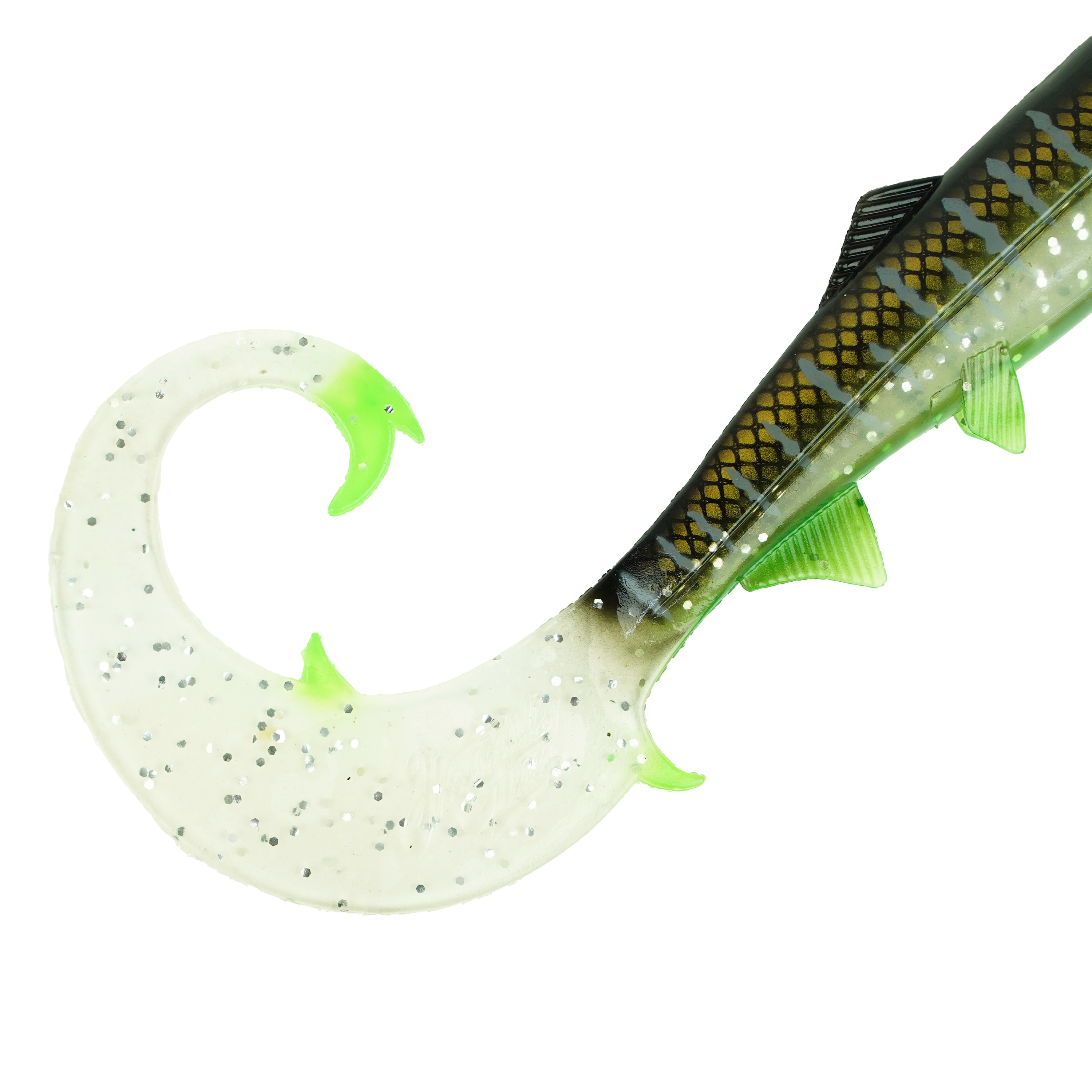 Hostagevalley Curlytail - Clear Malawi - 24cm