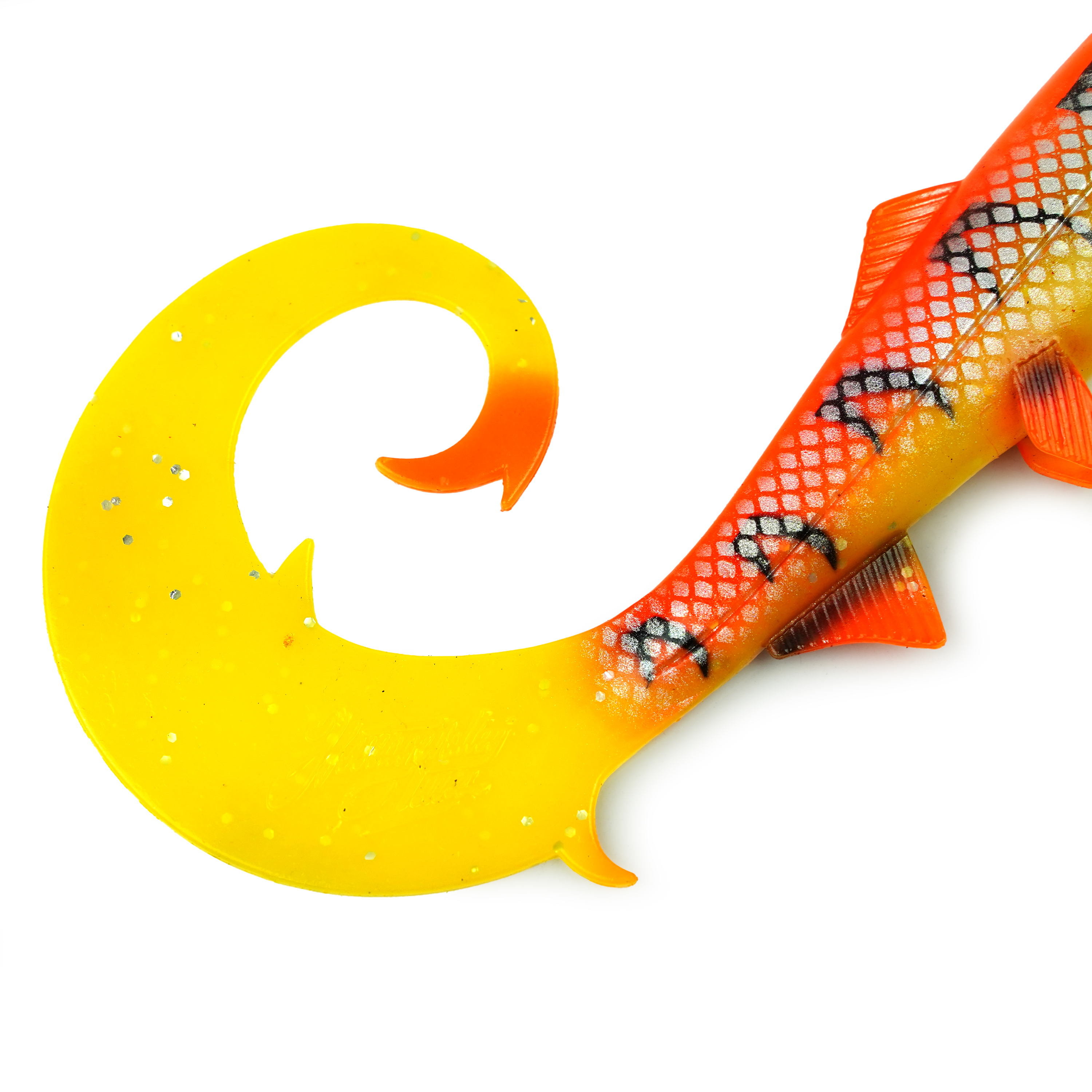Hostagevalley Curlytail - Flame Fish - 24cm
