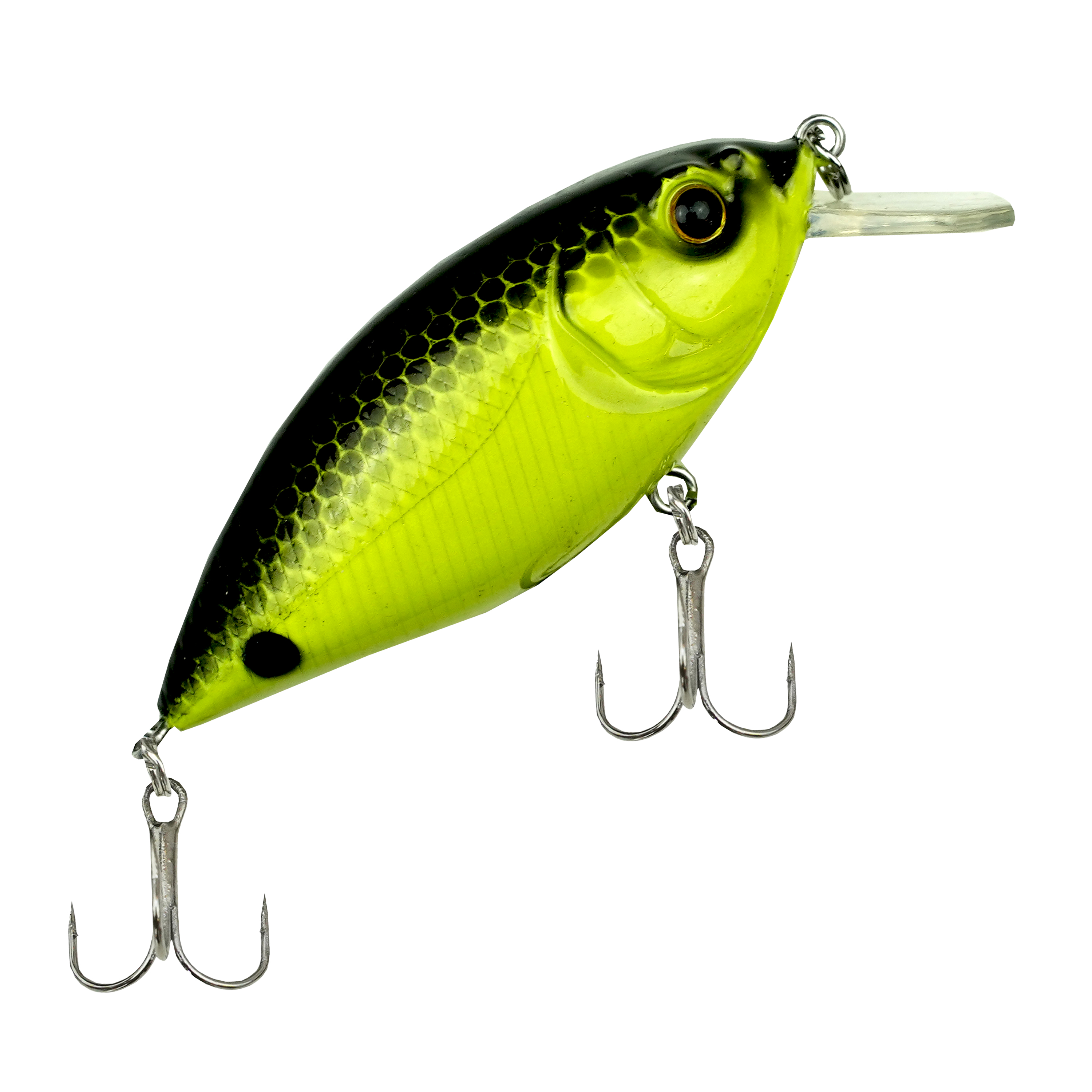 Viper Pro Zeppelin 6,5cm - Rattlin - Cirus Surpise