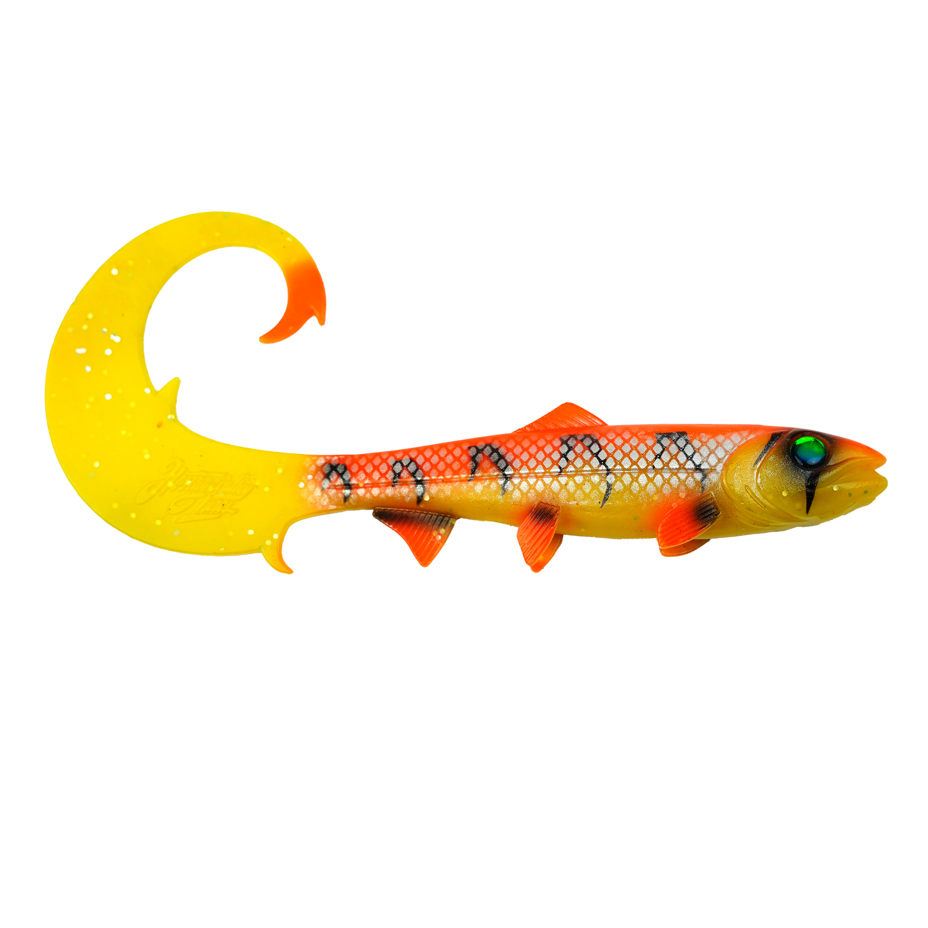 Hostagevalley Curlytail - Flame Fish - 24cm