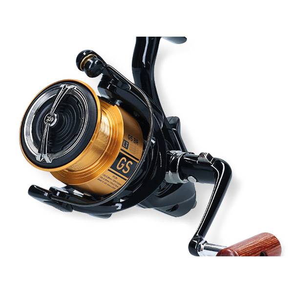 Daiwa 20 GS BR LT - 5000-C 