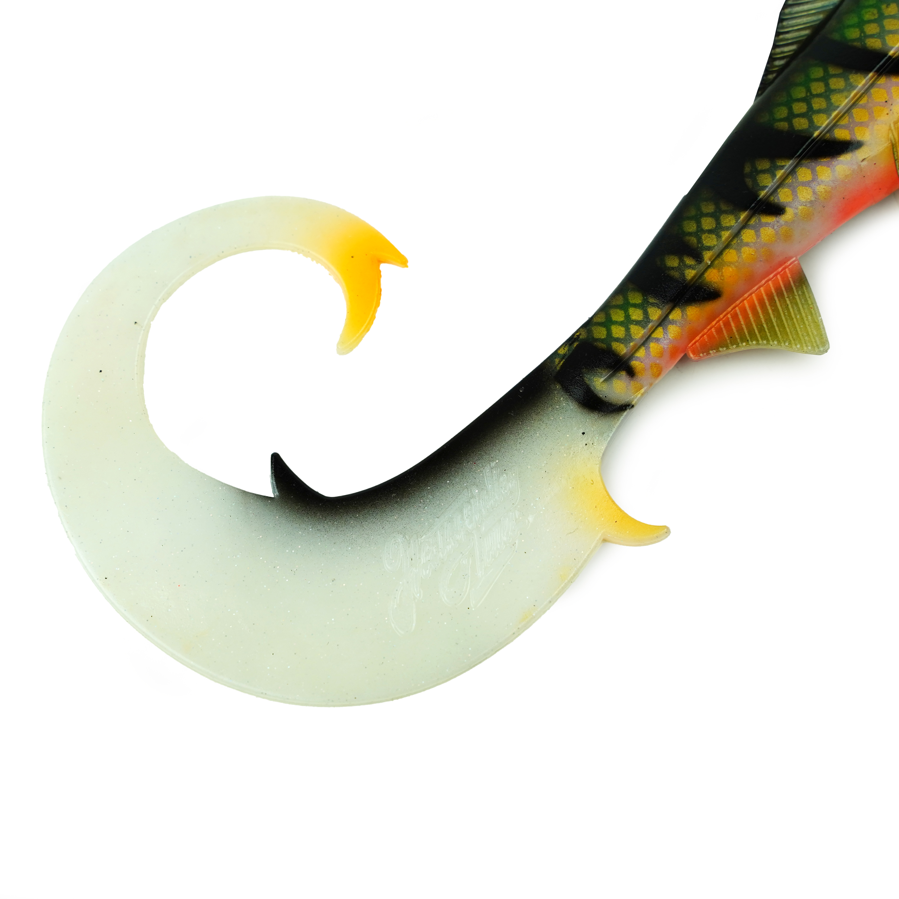 Hostagevalley Curlytail - Purpur Perch - 24cm