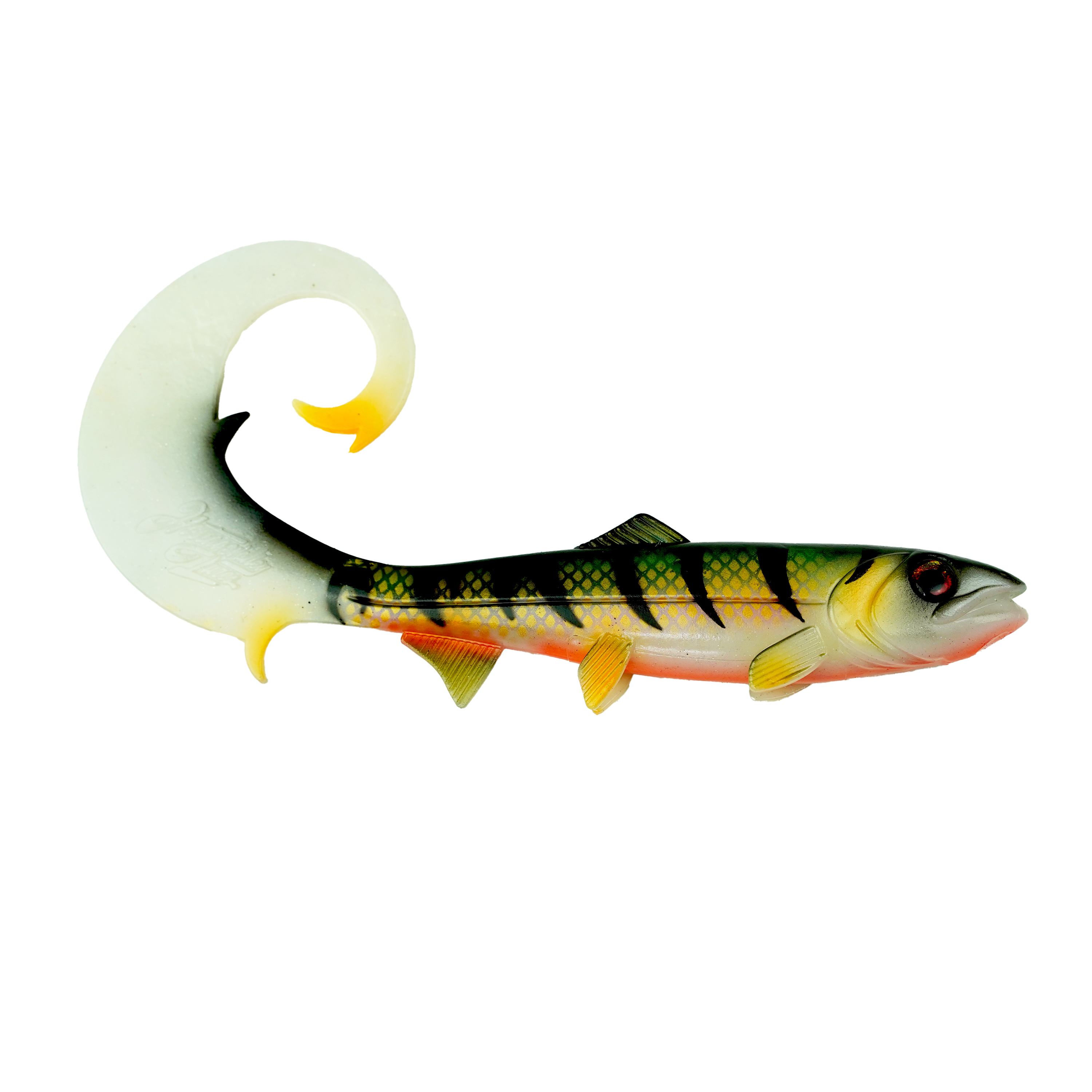 Hostagevalley Curlytail - Purpur Perch - 24cm